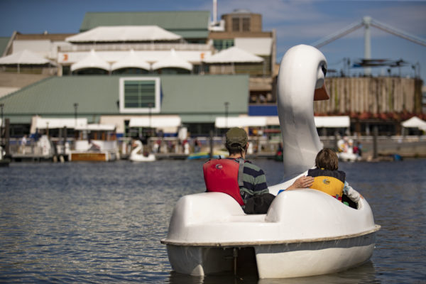 View from the marina at Independence Seaport Museum, featuring swan boats & kayaking.